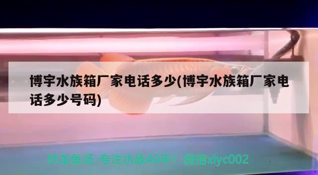 博宇水族箱廠家電話多少(博宇水族箱廠家電話多少號碼)