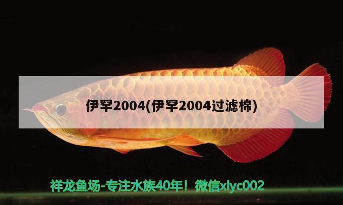 伊罕2004(伊罕2004過濾棉)