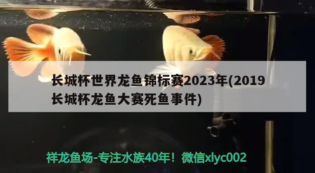 長城杯世界龍魚錦標(biāo)賽2023年(2019長城杯龍魚大賽死魚事件)