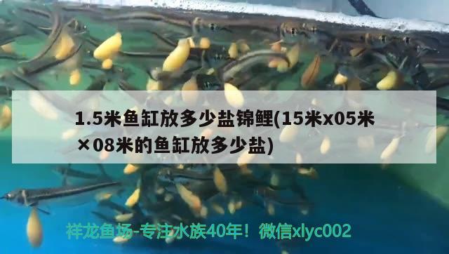 1.5米魚缸放多少鹽錦鯉(15米x05米×08米的魚缸放多少鹽) 純血皇冠黑白魟魚