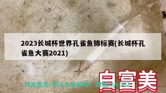 2023長城杯世界孔雀魚錦標(biāo)賽(長城杯孔雀魚大賽2021)