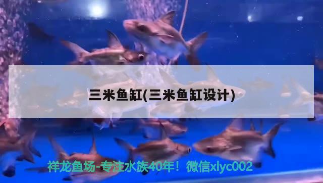 三米魚缸(三米魚缸設(shè)計) 魚缸定做 第2張