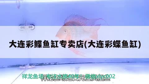 大連彩鰈魚缸專賣店(大連彩蝶魚缸)