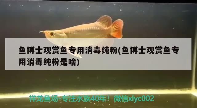 魚博士觀賞魚專用消毒純粉(魚博士觀賞魚專用消毒純粉是啥)