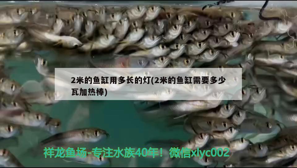 2米的魚缸用多長的燈(2米的魚缸需要多少瓦加熱棒)