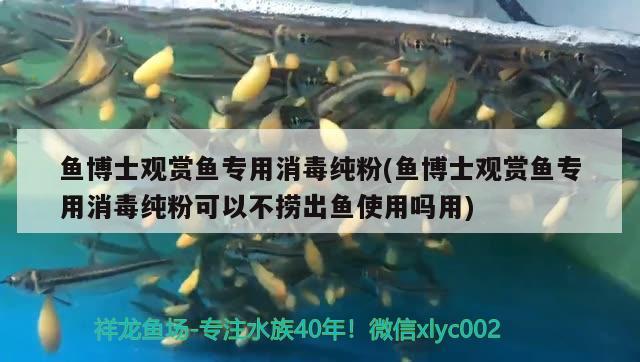 魚博士觀賞魚專用消毒純粉(魚博士觀賞魚專用消毒純粉可以不撈出魚使用嗎用) 2024第28屆中國國際寵物水族展覽會CIPS（長城寵物展2024 CIPS）