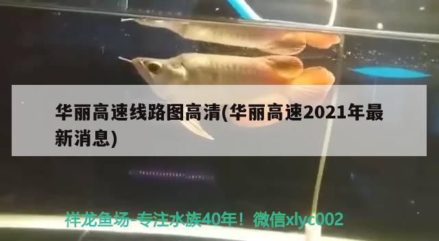 華麗高速線路圖高清(華麗高速2021年最新消息)