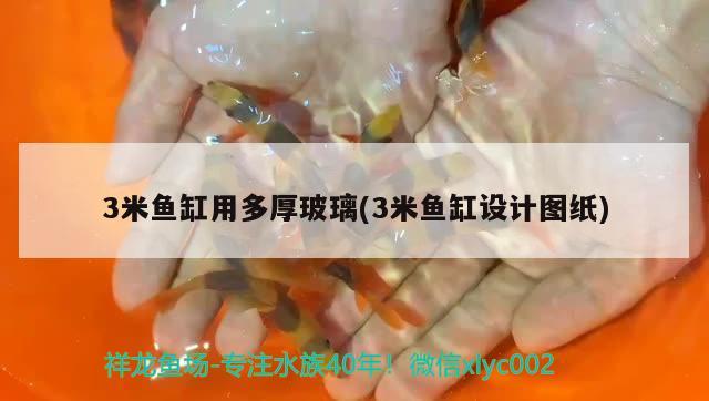 3米魚缸用多厚玻璃(3米魚缸設(shè)計(jì)圖紙) 魚缸定做