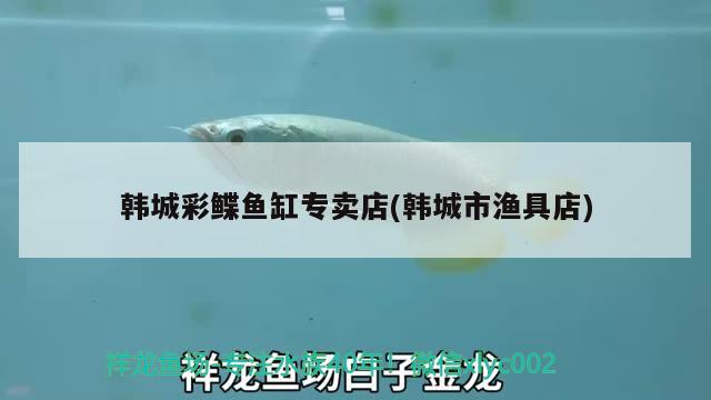 韓城彩鰈魚缸專賣店(韓城市漁具店) 彩鰈魚缸（彩蝶魚缸）