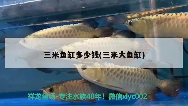 三米魚缸多少錢(三米大魚缸) 魚缸定做