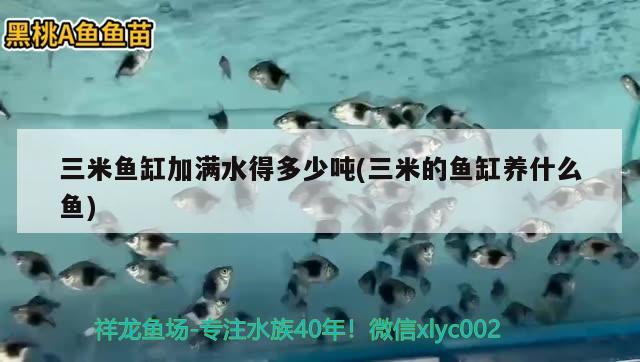 三米魚缸加滿水得多少噸(三米的魚缸養(yǎng)什么魚) 魚缸定做