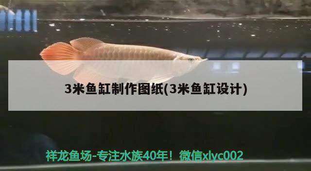 3米魚缸制作圖紙(3米魚缸設(shè)計) 魚缸定做