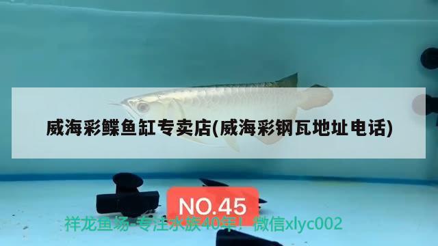 威海彩鰈魚缸專賣店(威海彩鋼瓦地址電話) 彩鰈魚缸（彩蝶魚缸）