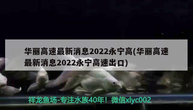 華麗高速最新消息2022永寧高(華麗高速最新消息2022永寧高速出口)