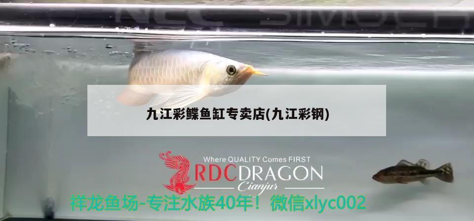 九江彩鰈魚缸專賣店(九江彩鋼)