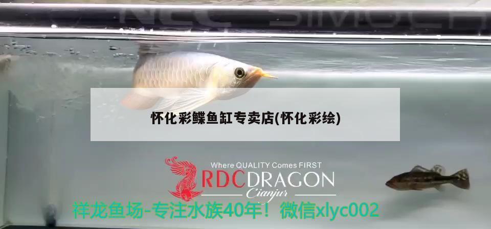 懷化彩鰈魚缸專賣店(懷化彩繪)