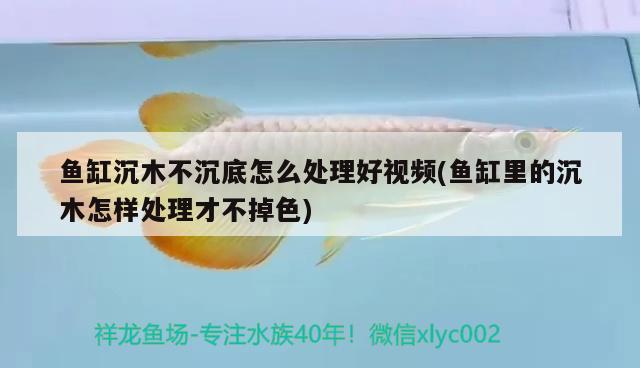 魚缸沉木不沉底怎么處理好視頻(魚缸里的沉木怎樣處理才不掉色)