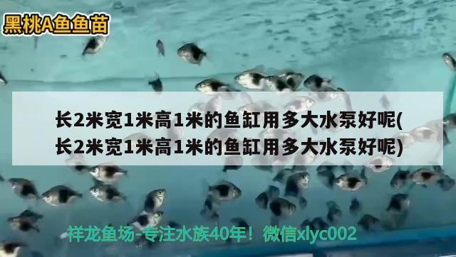 長2米寬1米高1米的魚缸用多大水泵好呢(長2米寬1米高1米的魚缸用多大水泵好呢)