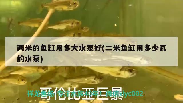 兩米的魚缸用多大水泵好(二米魚缸用多少瓦的水泵)