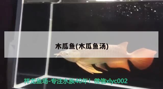 木瓜魚(木瓜魚湯)