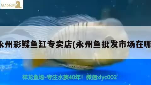 永州彩鰈魚缸專賣店(永州魚批發(fā)市場在哪) 彩鰈魚缸（彩蝶魚缸）