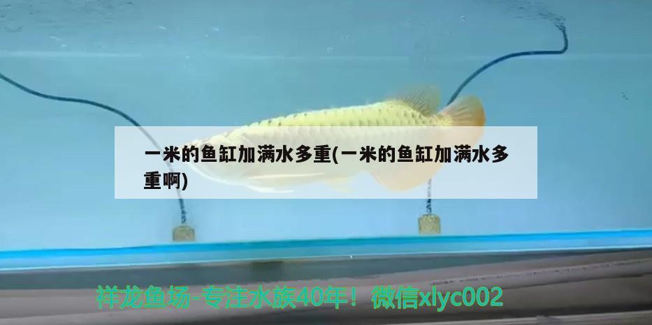 一米的魚缸加滿水多重(一米的魚缸加滿水多重啊)