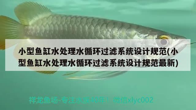 小型魚缸水處理水循環(huán)過濾系統(tǒng)設(shè)計(jì)規(guī)范(小型魚缸水處理水循環(huán)過濾系統(tǒng)設(shè)計(jì)規(guī)范最新) 圖騰金龍魚