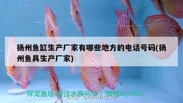 揚(yáng)州魚(yú)缸生產(chǎn)廠(chǎng)家有哪些地方的電話(huà)號(hào)碼(揚(yáng)州魚(yú)具生產(chǎn)廠(chǎng)家)