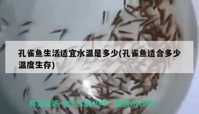 孔雀魚生活適宜水溫是多少(孔雀魚適合多少溫度生存)