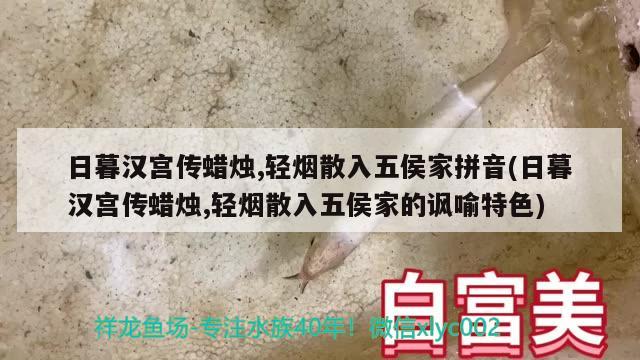 日暮漢宮傳蠟燭,輕煙散入五侯家拼音(日暮漢宮傳蠟燭,輕煙散入五侯家的諷喻特色) 觀賞魚