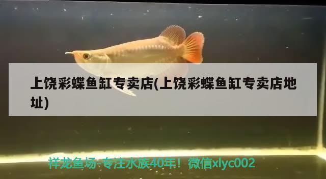 上饒彩蝶魚缸專賣店(上饒彩蝶魚缸專賣店地址)