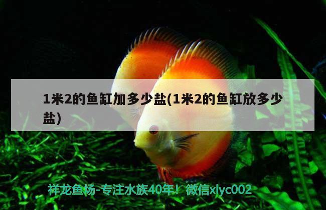 1米2的魚缸加多少鹽(1米2的魚缸放多少鹽)