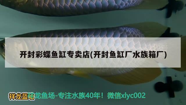 開封彩蝶魚缸專賣店(開封魚缸廠水族箱廠) 魚缸/水族箱