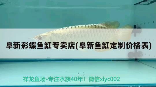 阜新彩蝶魚缸專賣店(阜新魚缸定制價格表)