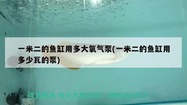 一米二的魚缸用多大氧氣泵(一米二的魚缸用多少瓦的泵)