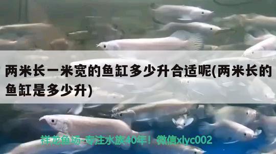 兩米長一米寬的魚缸多少升合適呢(兩米長的魚缸是多少升)