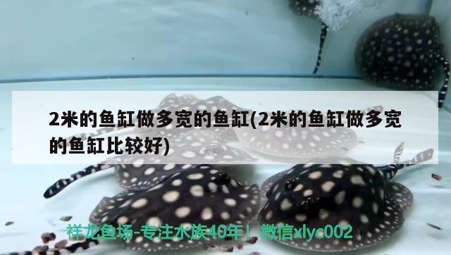 2米的魚缸做多寬的魚缸(2米的魚缸做多寬的魚缸比較好)