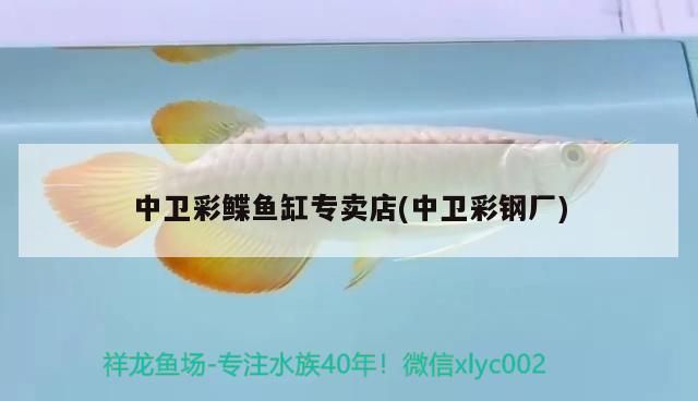 中衛(wèi)彩鰈魚缸專賣店(中衛(wèi)彩鋼廠) 彩鰈魚缸（彩蝶魚缸）