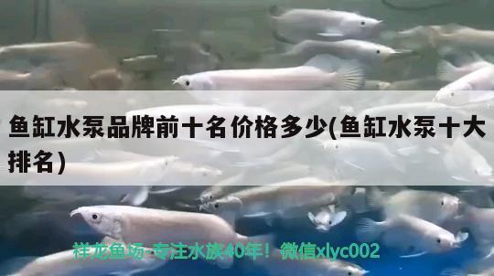 魚缸水泵品牌前十名價格多少(魚缸水泵十大排名) 魚缸水泵