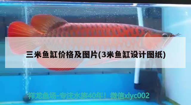 三米魚缸價格及圖片(3米魚缸設(shè)計圖紙) 祥龍龍魚魚糧