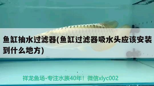 魚缸抽水過濾器(魚缸過濾器吸水頭應(yīng)該安裝到什么地方)