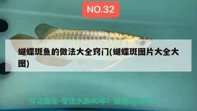 蝴蝶斑魚(yú)的做法大全竅門(mén)(蝴蝶斑圖片大全大圖) 蝴蝶鯉