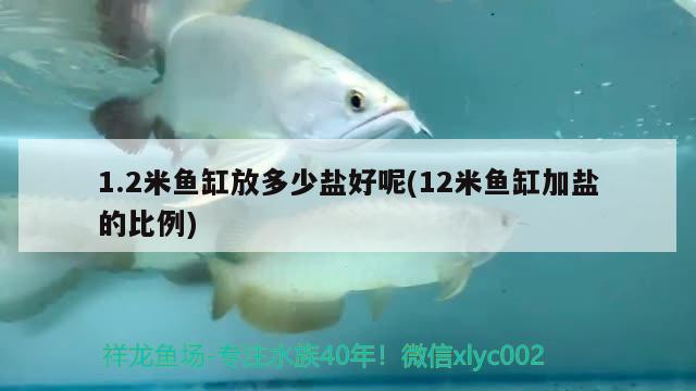 1.2米魚缸放多少鹽好呢(12米魚缸加鹽的比例)