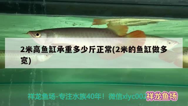 2米高魚缸承重多少斤正常(2米的魚缸做多寬)