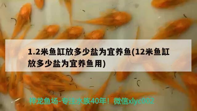 1.2米魚缸放多少鹽為宜養(yǎng)魚(12米魚缸放多少鹽為宜養(yǎng)魚用)