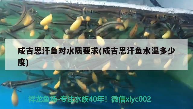 成吉思汗魚(yú)對(duì)水質(zhì)要求(成吉思汗魚(yú)水溫多少度) 觀(guān)賞魚(yú)