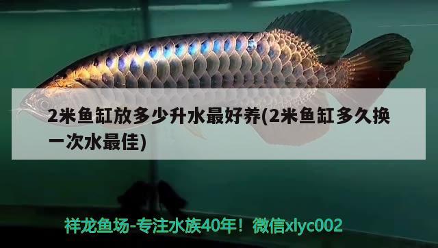 2米魚缸放多少升水最好養(yǎng)(2米魚缸多久換一次水最佳)