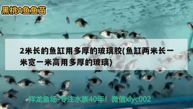 2米長(zhǎng)的魚缸用多厚的玻璃膠(魚缸兩米長(zhǎng)一米寬一米高用多厚的玻璃) 鴨嘴鯊魚