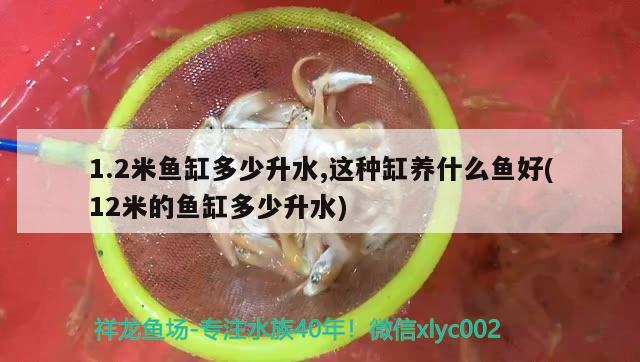 1.2米魚缸多少升水,這種缸養(yǎng)什么魚好(12米的魚缸多少升水)