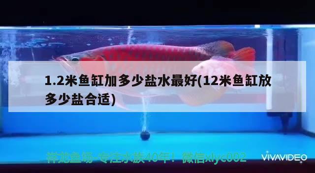 1.2米魚(yú)缸加多少鹽水最好(12米魚(yú)缸放多少鹽合適)